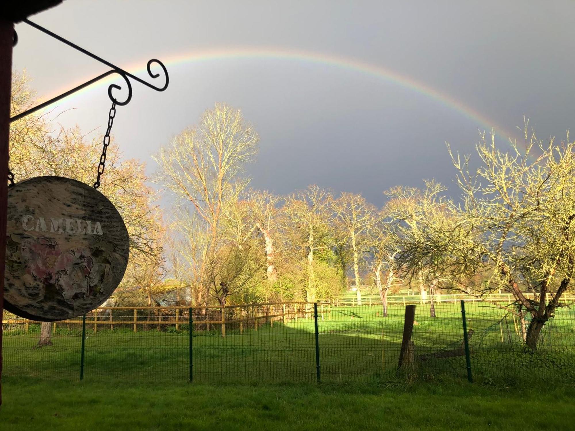 Bed and Breakfast La Malcotais Noyal-Chatillon-sur-Seich Esterno foto